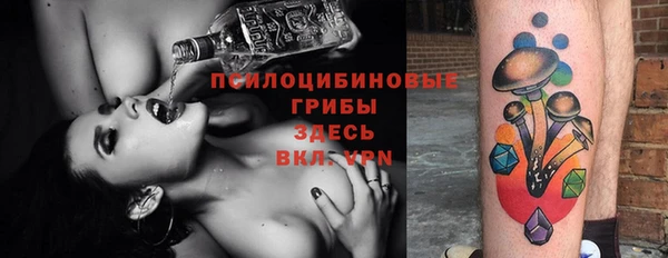 ешки Алексеевка