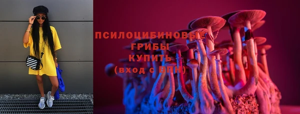 ешки Алексеевка