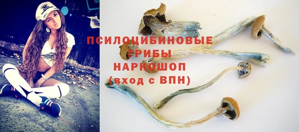 героин Алексин