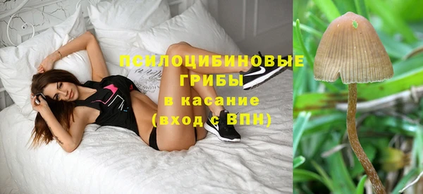 героин Алексин