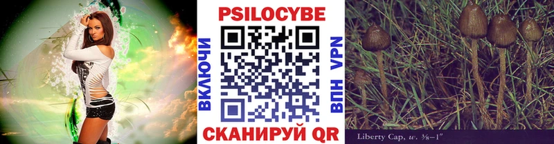 Псилоцибиновые грибы GOLDEN TEACHER  Болгар 